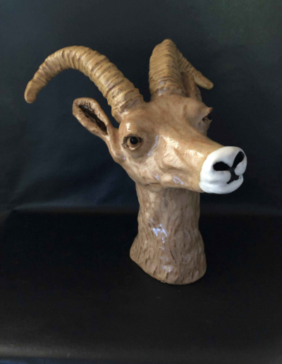 Big Horn Sheep - Rakich