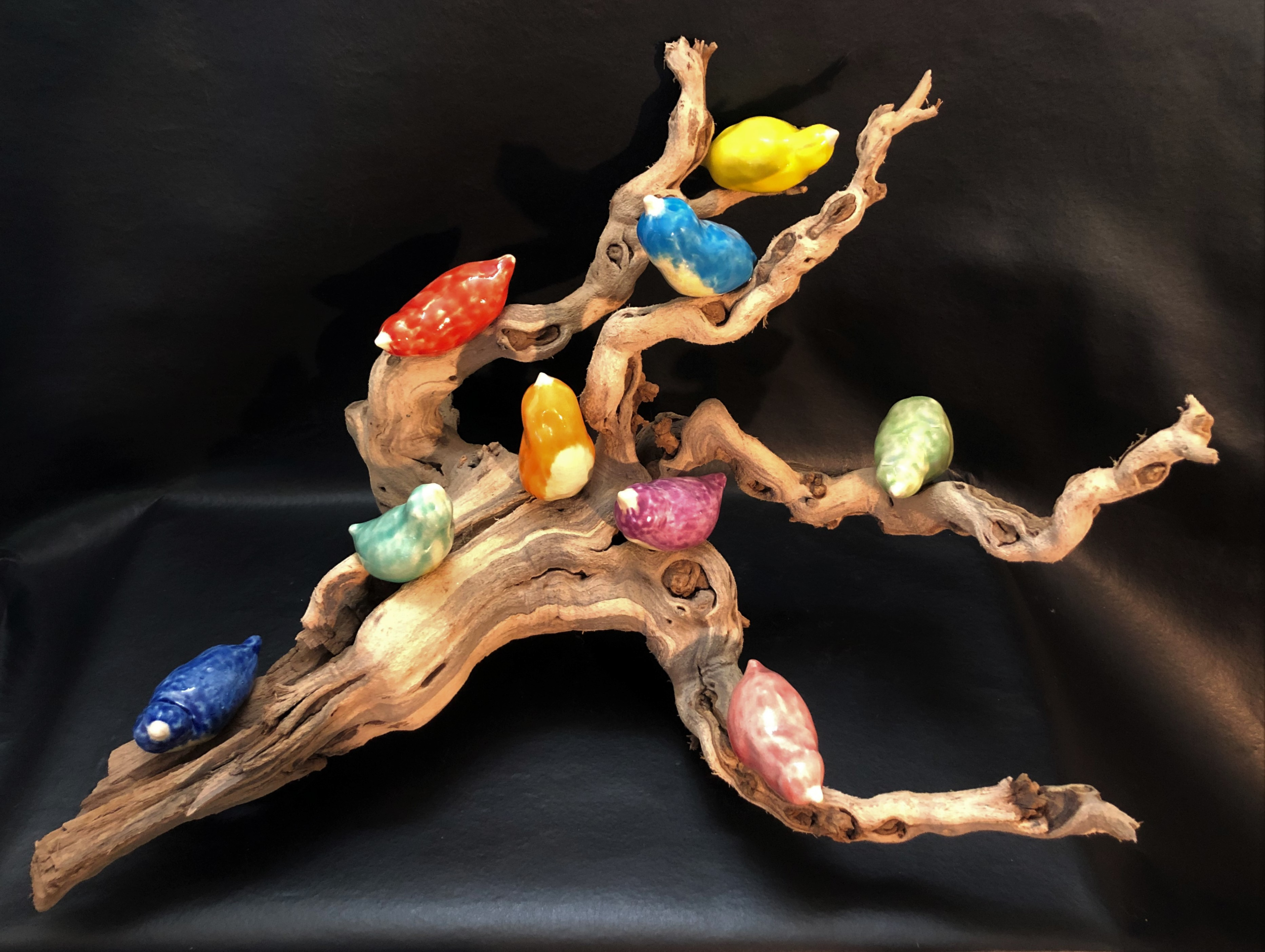 Birds of a Colorful Feather - Cathryn Rakich