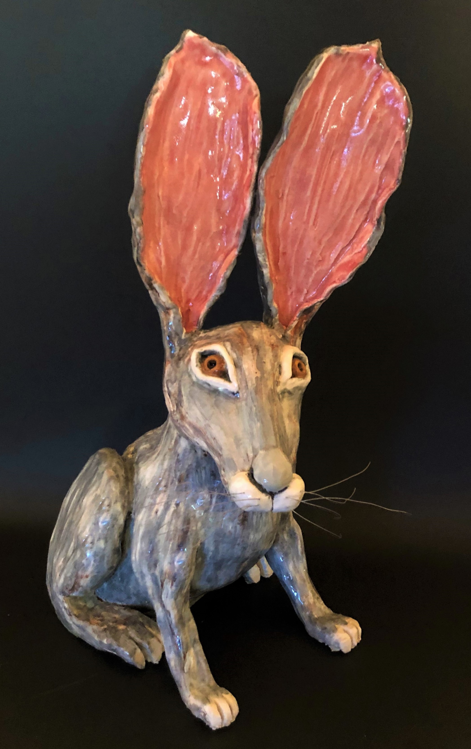 Black-Tailed Jack Rabbit – Rakich