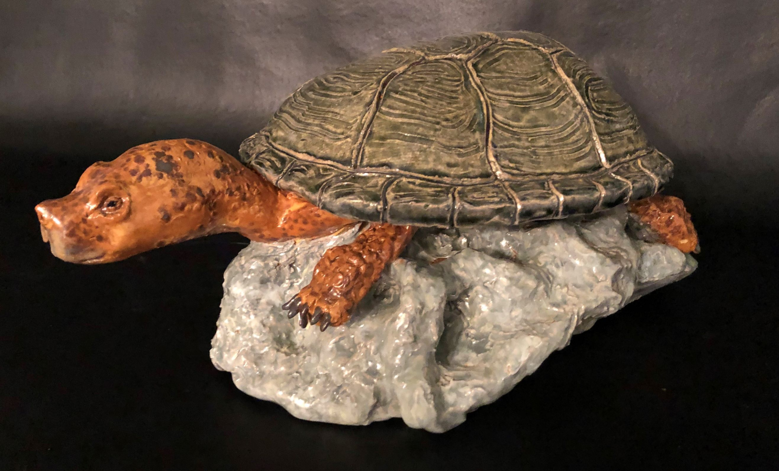 Cathryn Rakich – Western Pond Turtle
