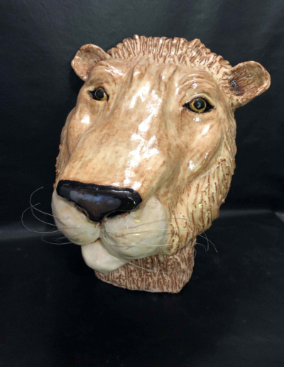 Lion King – Rakich