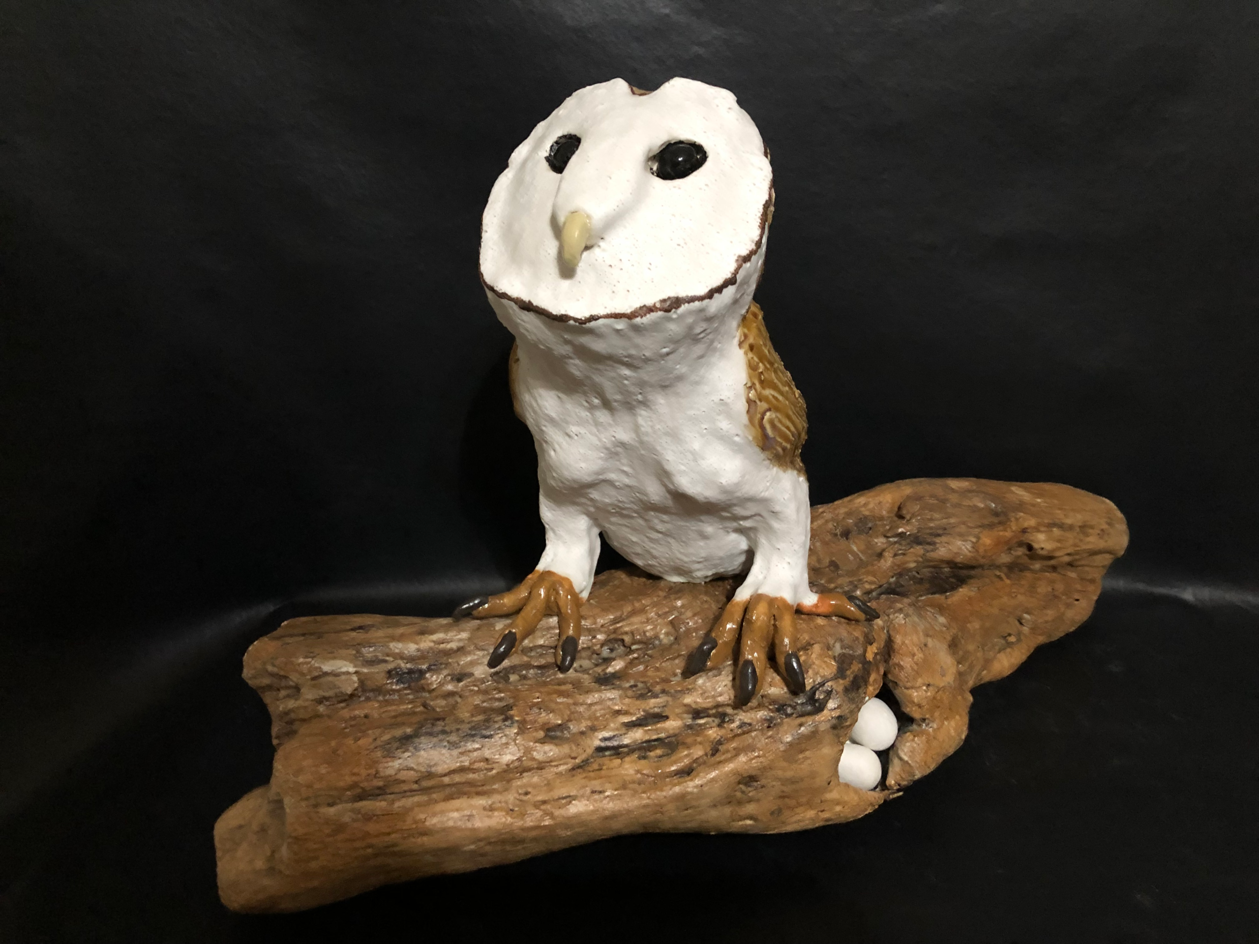 Mama Barn Owl – Rakich