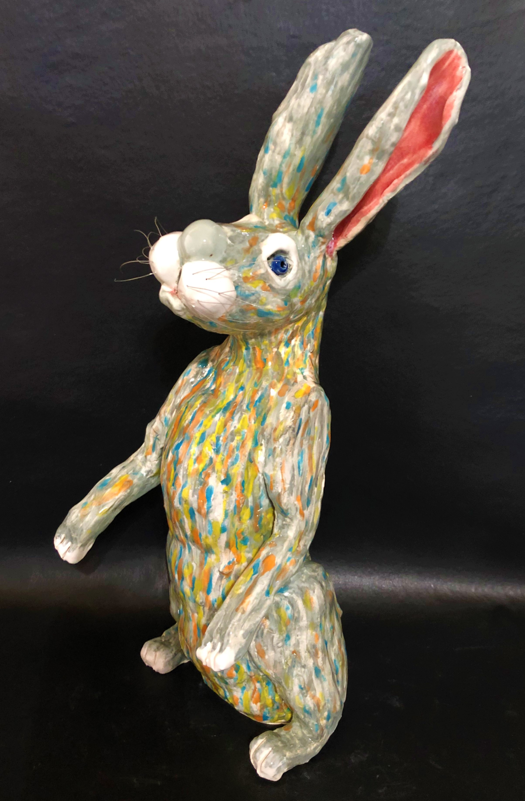 Rainbow Rabbit - Cathryn Rakich